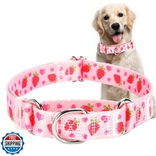Martingale Dog Collar for Large Pet Dogs- Pink Strawberry No-Slip Escape Proo