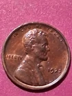 1925-P LINCOLN CENT. MS/ BU/ RB.