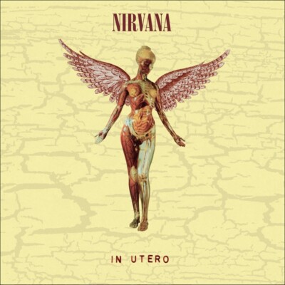 NIRVANA - IN UTERO (LIMITED  ORIGINAL ALBUM + BONUS TRACKS,2LP)  2 VINYL LP NEU