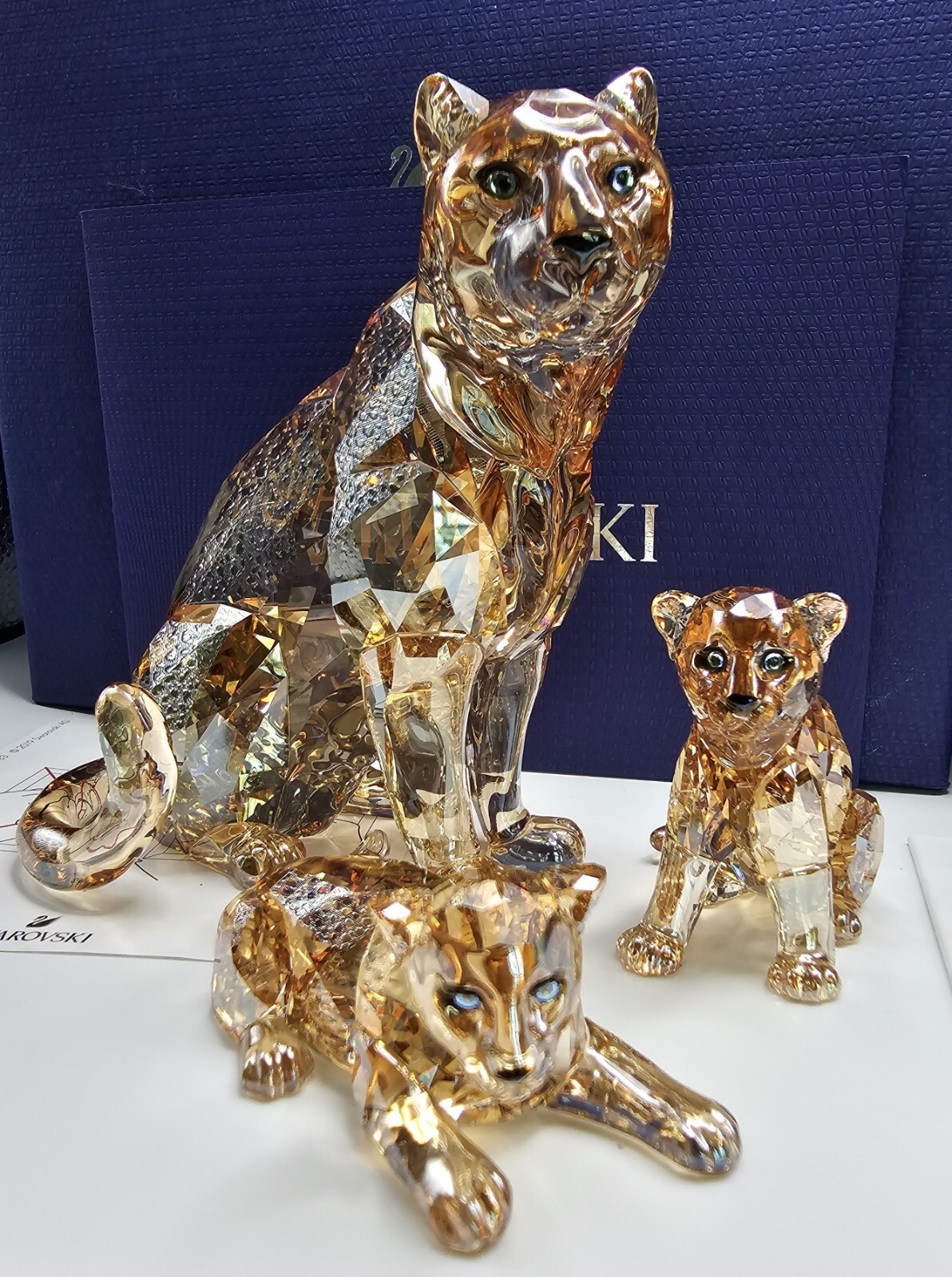 スワロフスキー アムールヒョウ SCS ANNUAL EDITIONS 2019