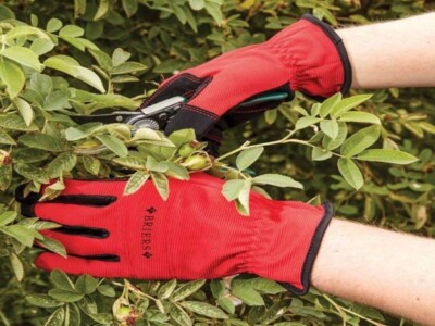 Briers Advanced Flex & Protect Gartenhandschuhe Herren und Damen mittel, groß