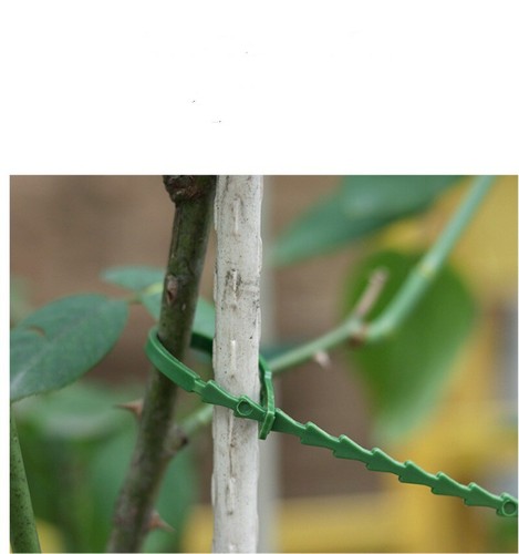 New Strong Garden Obelisk Climbing Plant Support Cage for Roses Vines Plant 10'' - Picture 19 of 30