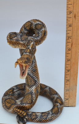 Painted Diamondback Rattlesnake Statue  