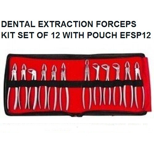 PINZA ESTRAZIONE STRUMENTI DENTALI CON CASSETTA KIT SET di 12 EFSP12 $#@fdsa9 - Foto 2 di 5