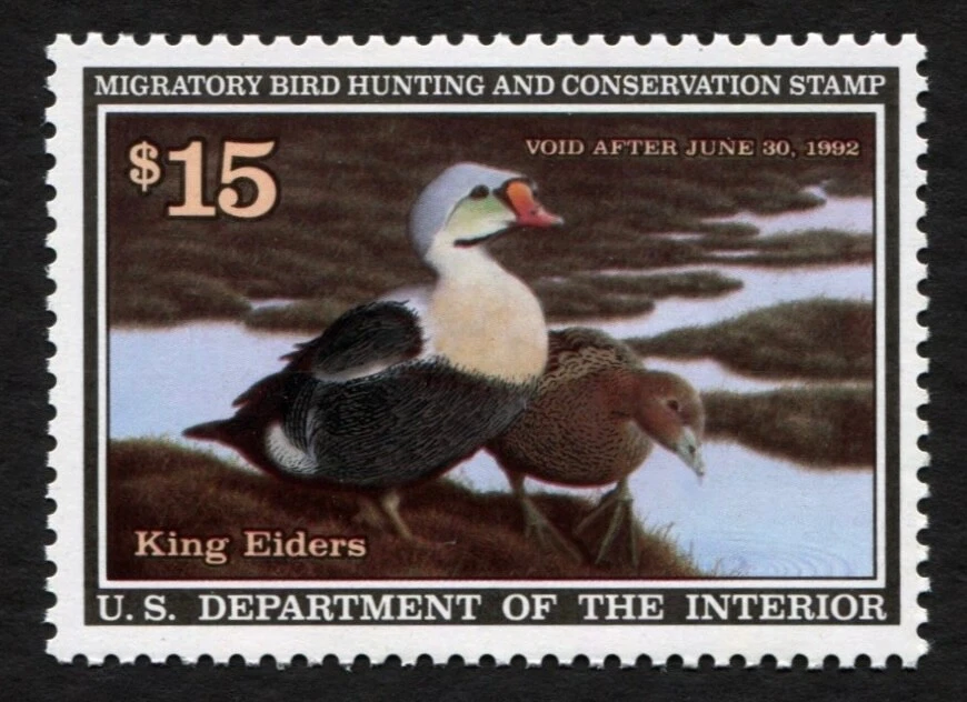 RW58 MNH FINE 1991 King Eiders US Federal Duck Stamp Migratory Waterfowl - Image 2 of 3