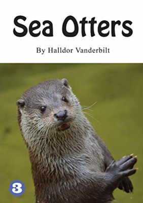 Seeotter - NEU Halldor Vanderb 2019