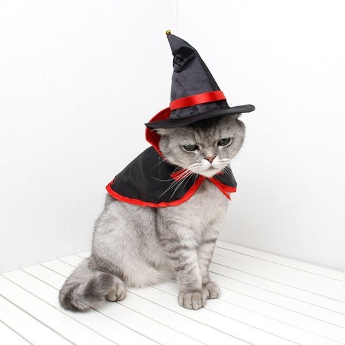 Soft Halloween Pet Cloak Cloth Dog Witch Costume Add Halloween Atmosphere - Picture 3 of 14