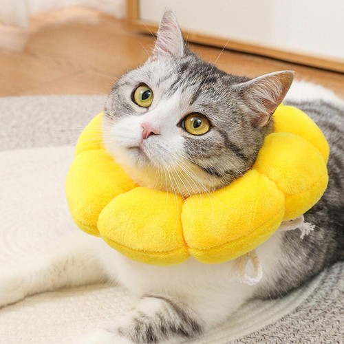 Pets Anti-bite Recovery Collar Sunflower Soft Neck Cone For Dogs Cats Yello E3R8 - Picture 8 of 24