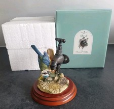 Border Fine Arts Birds by Russell Willis Bluetit on Tap No. 484326 original box