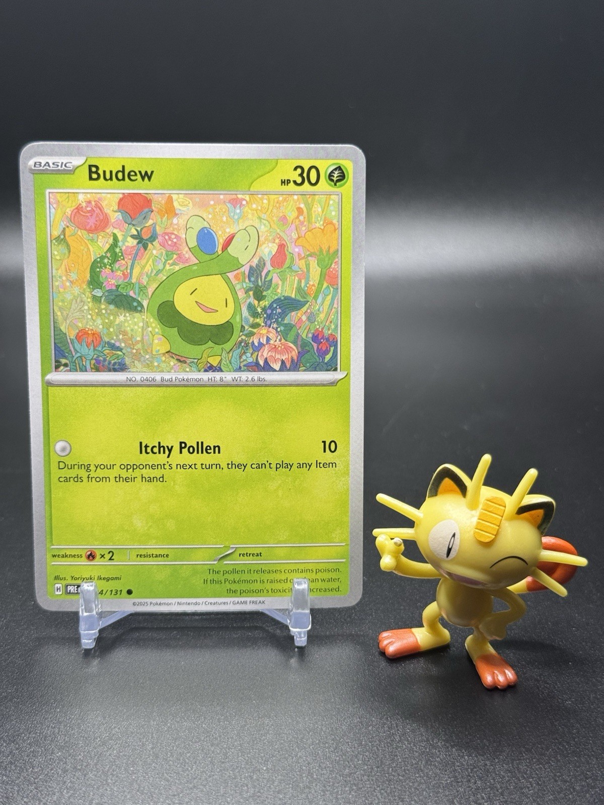 Budew 004/131 Pokemon Sv: Prismatic Evolutions Regular - NM