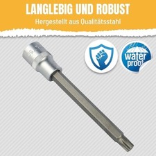 WMTEC Torx Vielzahn Nuss T50 1/2 Zoll – Steckschlüssel Schlagfest – KFZWerkstatt