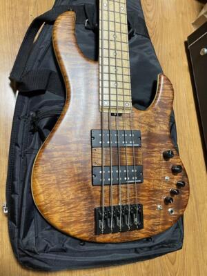 ESP halibut 5弦　BASS ESP Custom HALIBUT Electric Bass Guitar | eBay