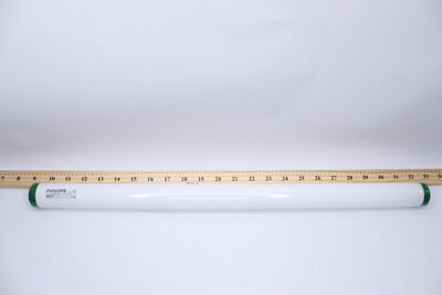 Philips Fluorescent Light Bulb Daylight White 20W F20T12