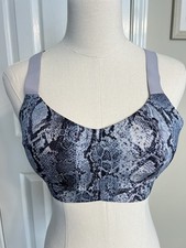 Victoria's Secret On Point Ombre Snake Love Cloud Sports Bra NEW Size Medium