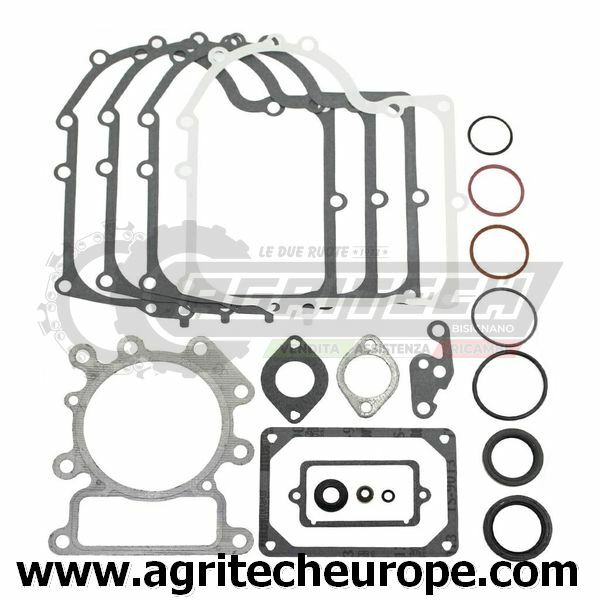 Rinnova il tuo Motore: Serie Guarnizioni Briggs & Stratton 310700 / 690189