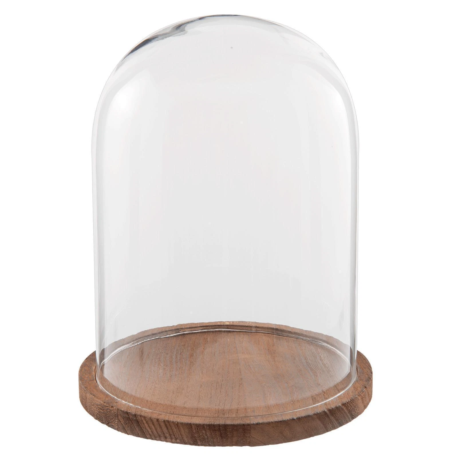 Glass Display Cloche Bell Jar Dome Flower Preservation Cover Wooden Base 28 cm
Opens in a new window