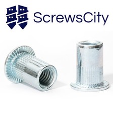 ZINC RIVET NUTS THREADED RIVNUTS JACK NUTS BLINDNUT INSERT NUTSERTS OPEN END