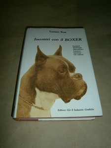 Incontri doganali in Sud America