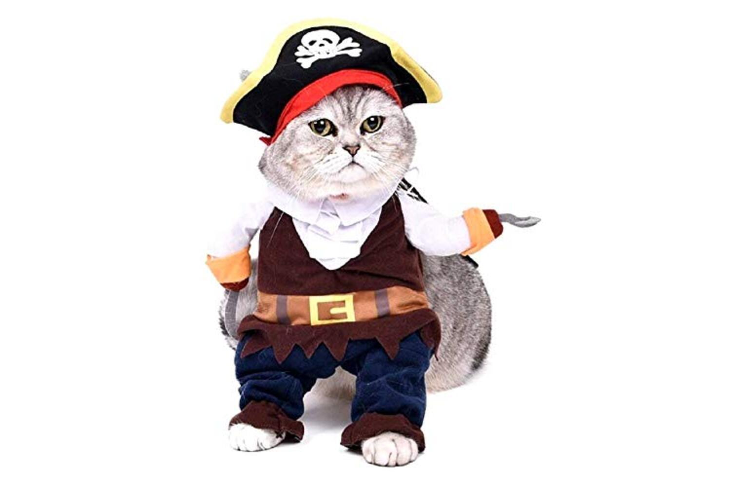 Costume Pirata Corsaro Nero Gatto Taglia M L.3830 Carnevale