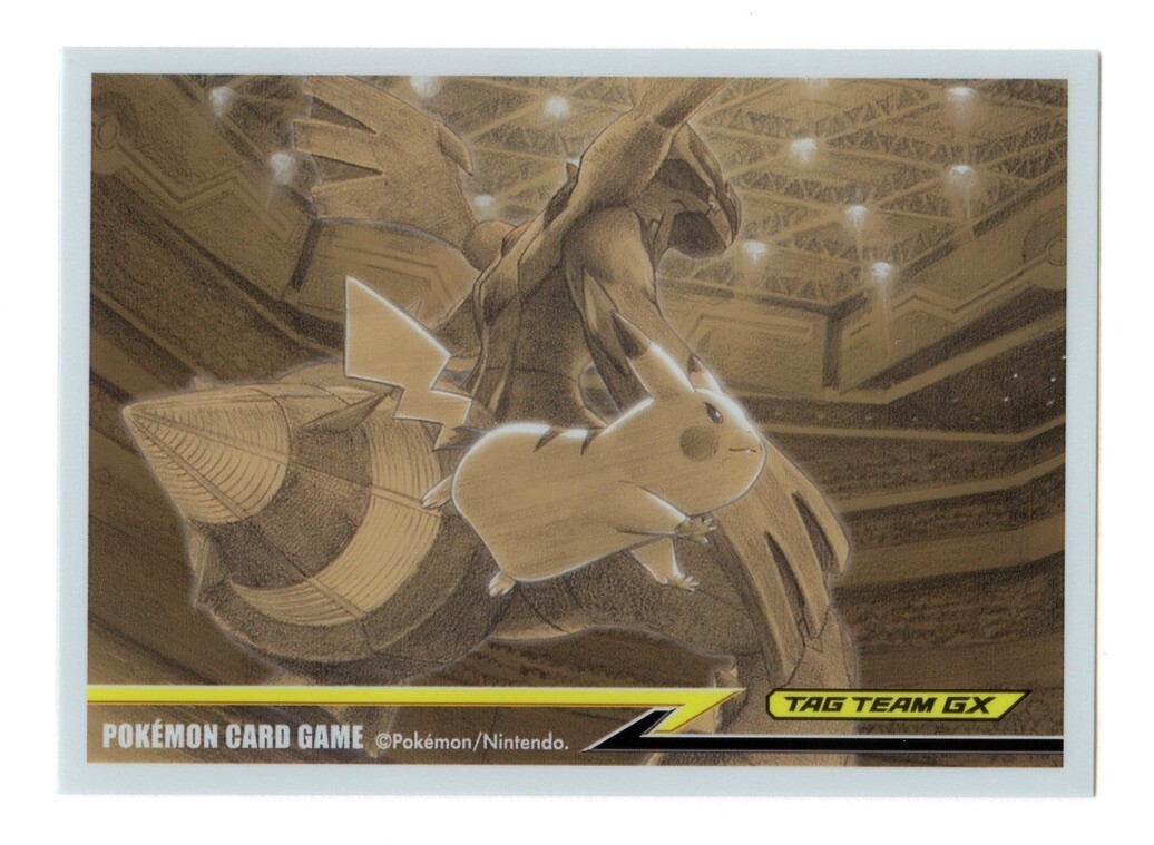 Pikachu & Zekrom Tag Team GX Ver.2 Individual Card Sleeve Pokemon