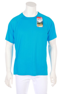 THE NORTH FACE T-shirt Logo Print L sky blue NEW