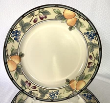 Mikasa Intaglio Garden Harvest Dinner Plates CAC29 (Set of 2) 11"