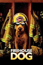Firehouse Dog (DVD, 2007)   *DISC ONLY* NO CASE NO TRACKING