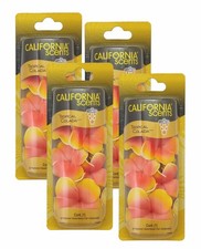 California Scents Air Fresheners For Car Hanging Lei Tropical Colada Necklace 4