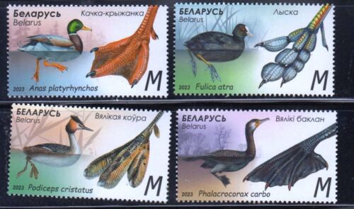 Weißrussland 2023 Mi.#1489-92 Merkmale von Wasservögeln. Vögel. 4er Set Briefmarken - Bild 1 von 1