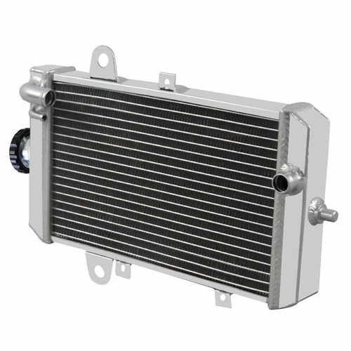 2 Row Aluminum Radiator Fits 2013-2020 2019 Yamaha Raptor 700 YFM700R ...