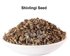 Shivalingi Seed Bryonia Laciniosa Chitraphala Bahuputara Vaduballi 250g 8.8 OZ '