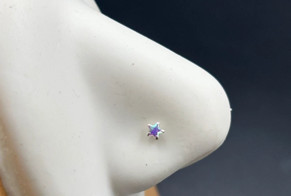 Set da 20 Pz. Orecchini da  naso Argento Sterling 925 Nickel Free 4 Modelli - Immagine 3 di 4