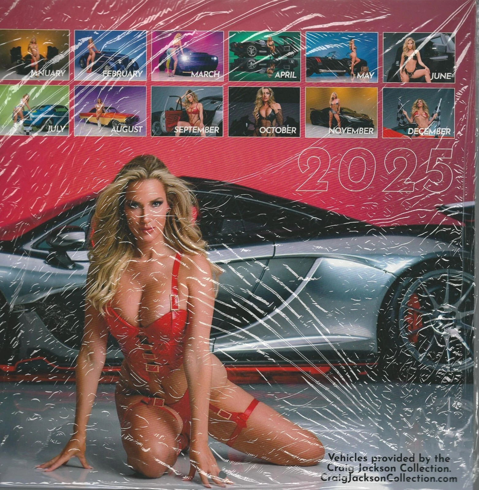 Paige Spiranac 2026 12 Month Wall Calendar