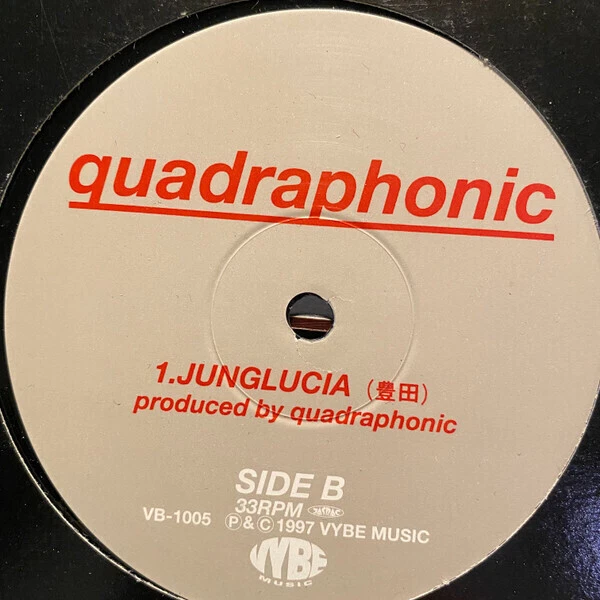 Quadraphonic Whats Erotic ? Vinyl Single 12inch Vybe Music