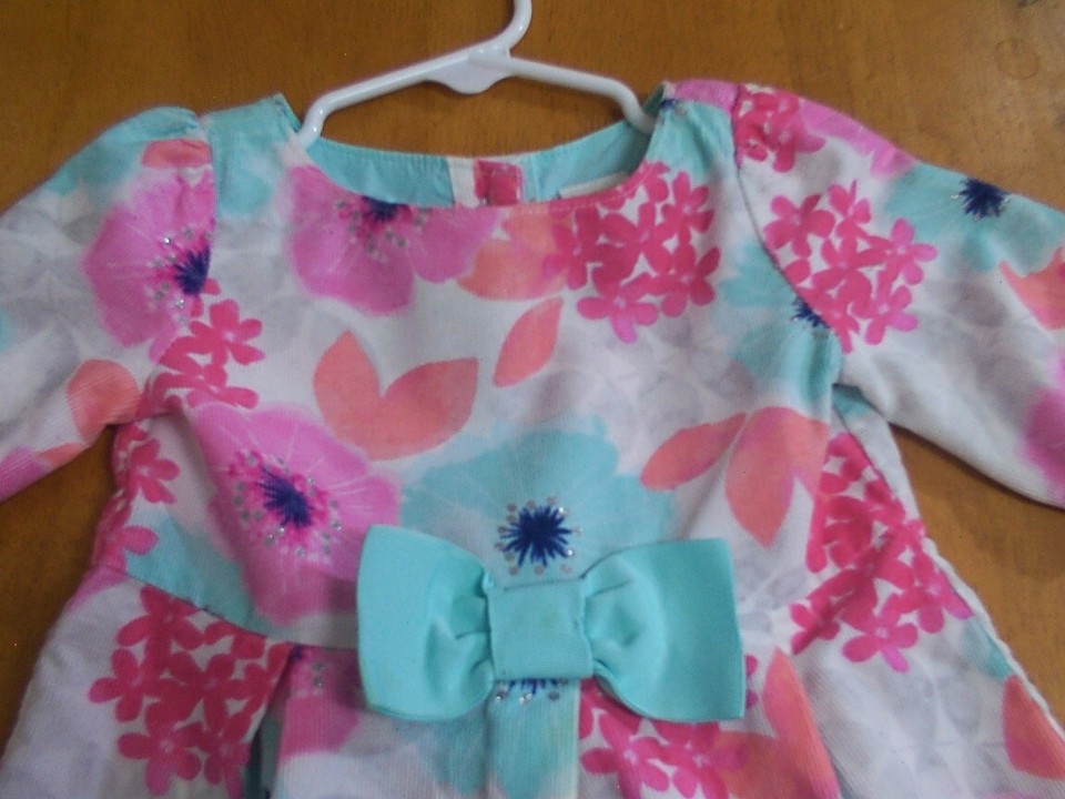 Gymboree Baby Girl Enchanted Winter Floral Fine Wale Corduroy Dress Sz