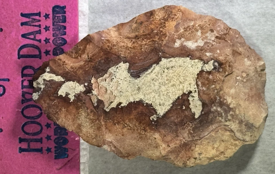 CUCHILLO PUNTA FLECHA ARTEFACTO AUTÉNTICO 2 Y 3/8" COLORIDO CON TALLO FLORIDA GEORGIA *3 Foto 3 de 4