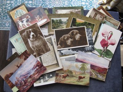 50 verschiedene alte Postkarten Hunde, Blumen, Menschen, Baby, Blasen, Brücke Schwefel