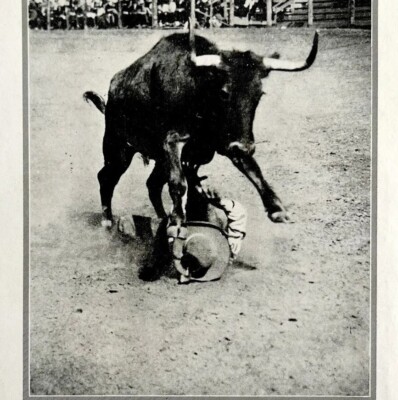 1921 Fight to the Finish Rodeo Bucking Bull Round Ups Cowboy Photo Print DWN8C