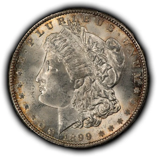 1899-O $1 Morgan Silver Dollar - Original Toning - BU - SKU-D7652