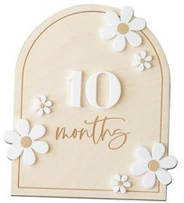 3D Baby Monthly Milestone, Wooden Baby Milestone Signs, Monthly Milestone Daisy
