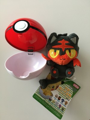 pokeball litten