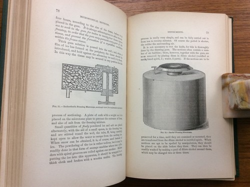 Rare 1st 1885 Methods Of Research In Microscopical Anatomy & Embryology WHITMAN - Imagen 7 de 8