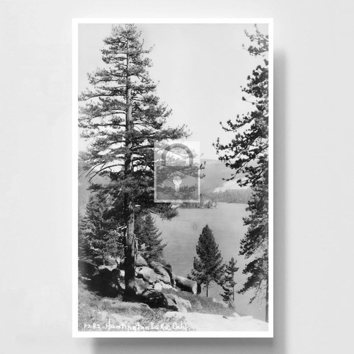 Huntington Lake Fresno County California CA Reprint Postcard eBay