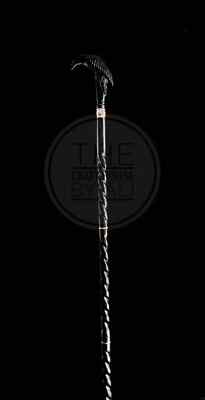 Rare Victorian RAVEN Handcrafted Walking Stick Cane-AL Steampunk Handle