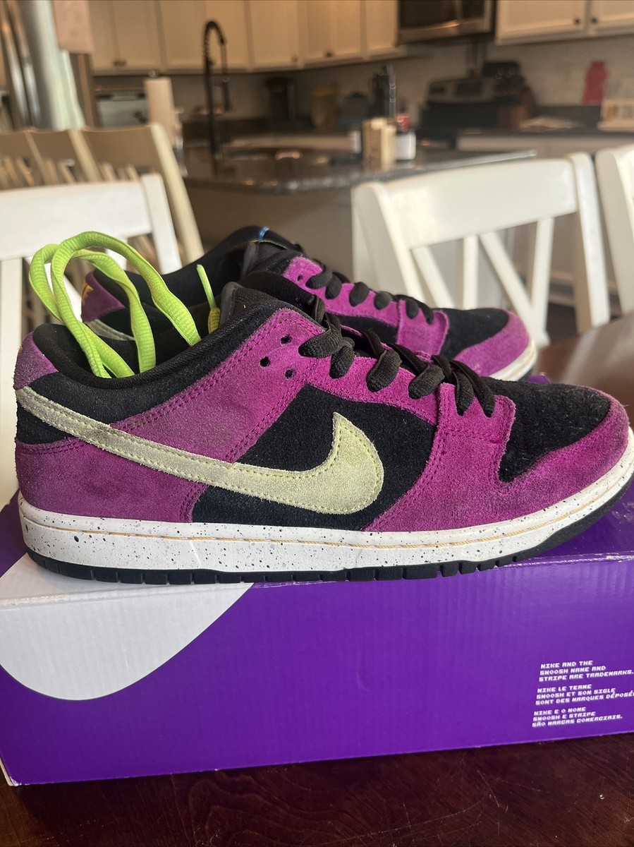 Nike SB Dunk Low Pro ACG Terra Red Plum - Size 8.5M Clean