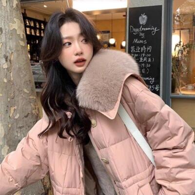 Down Jacket Women Fox Collar Loose Thicken Warm White Duck Down Long Jacket