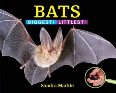 Bats: Biggest Littlest - Hardcover By Markle, Sandra - GOOD