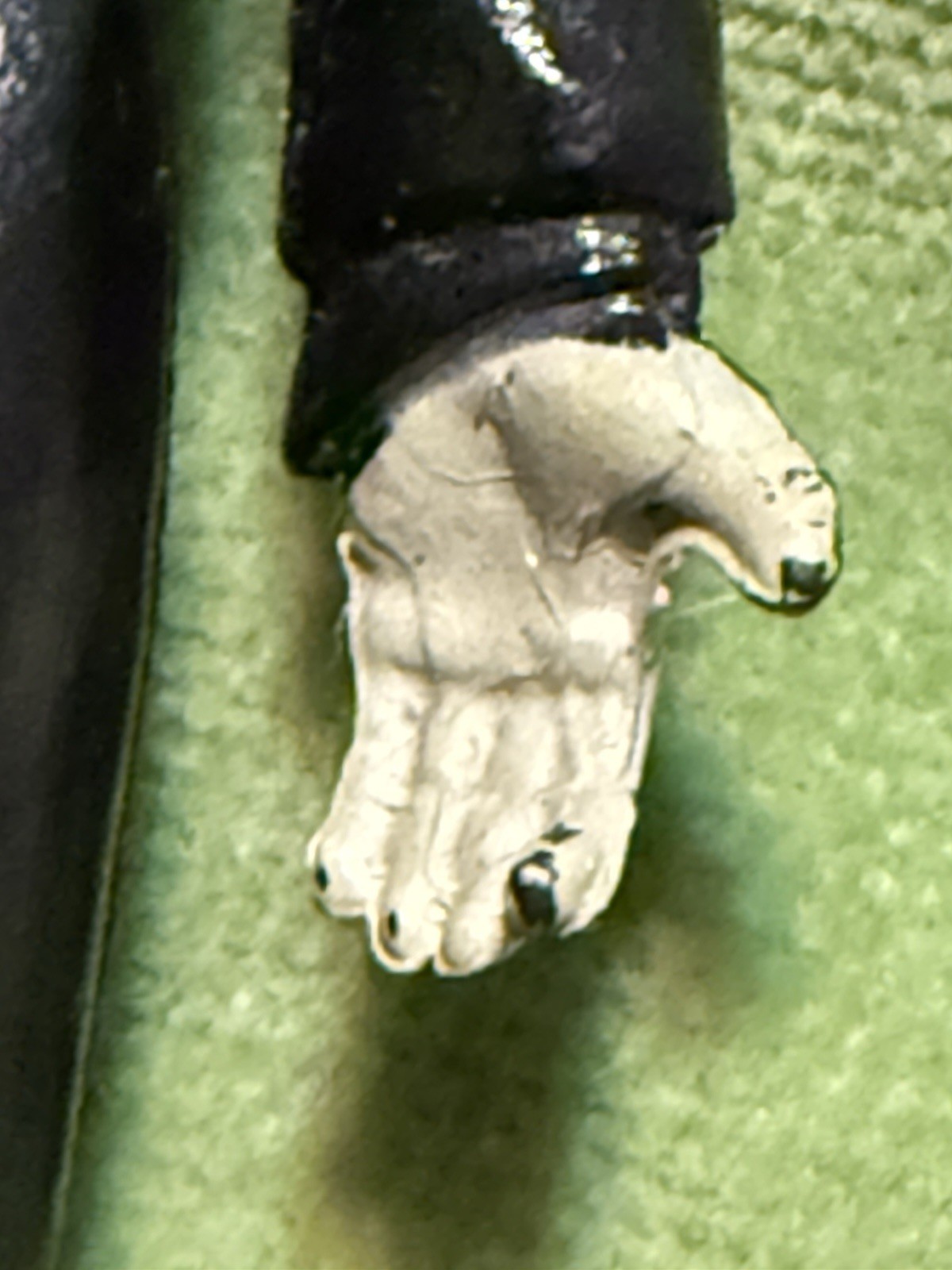 Picture 6 of 6