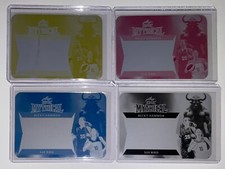 2024 Leaf Exotic Mythical Sue Bird Becky Hammon Printing Plate 1/1 Set Lot