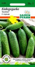 Einlegegurke Excelsior (F1) - bitterfrei ertragreich resistent - Gurken Samen
